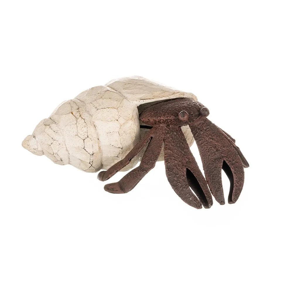 Henry the Hermit Crab