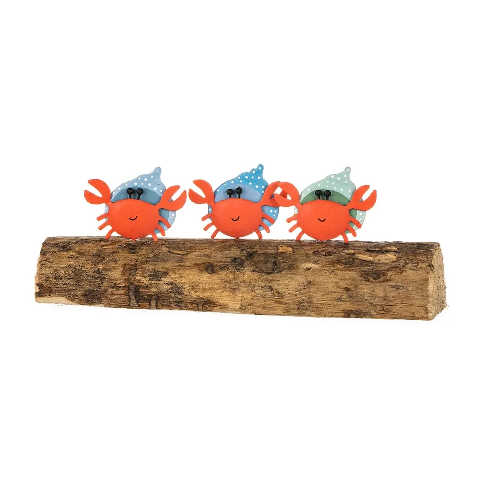 Three Hermit Crabs on a log