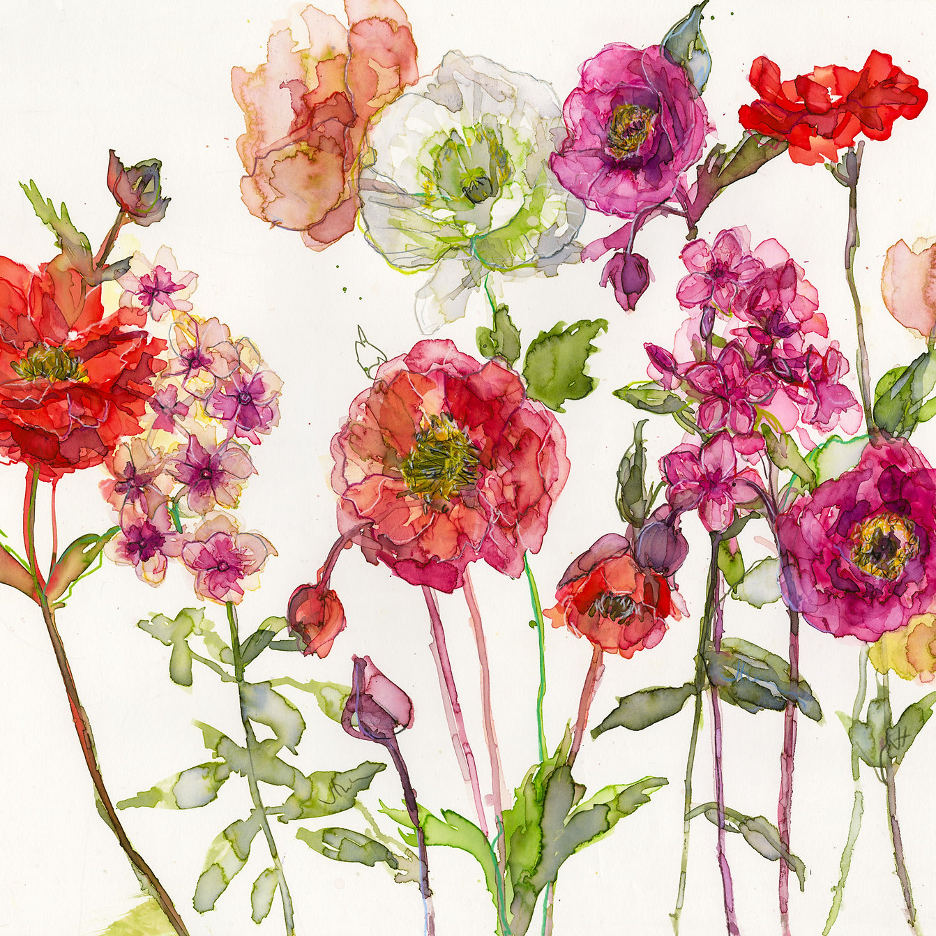 Jessica Trotman watercolour greeting card of red and pink poppies, ranunculus and phlox