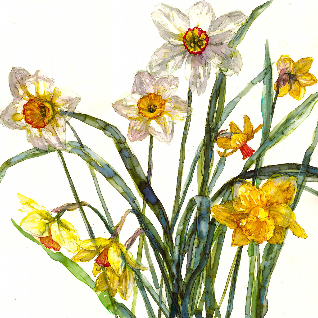 Jessica Trotman watercolour greeting card of white and yellow narcissi and daffodils