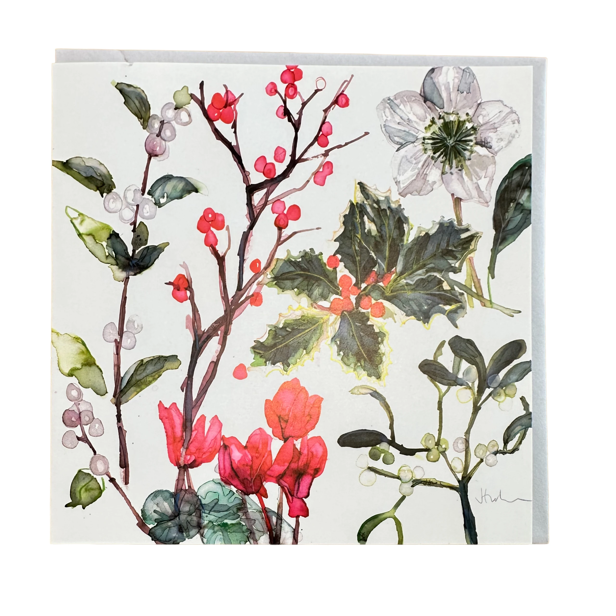 Jessica Trotman Christmas card — watercolour winter botanicals with holly, mistletoe, cyclamen, hellebore and red berries