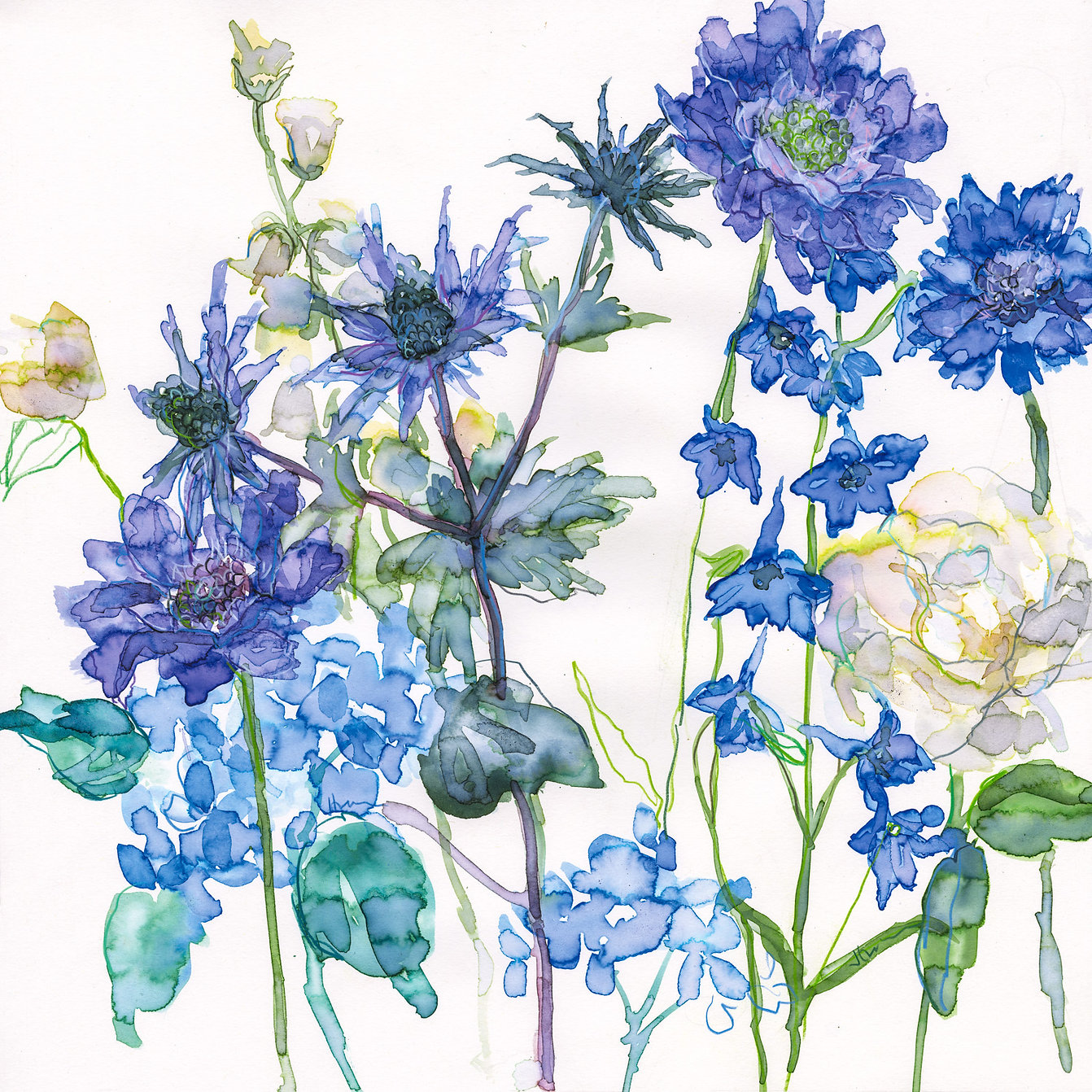 Jessica Trotman watercolour greeting card of blue sea holly, scabious and delphiniums with a cream rose