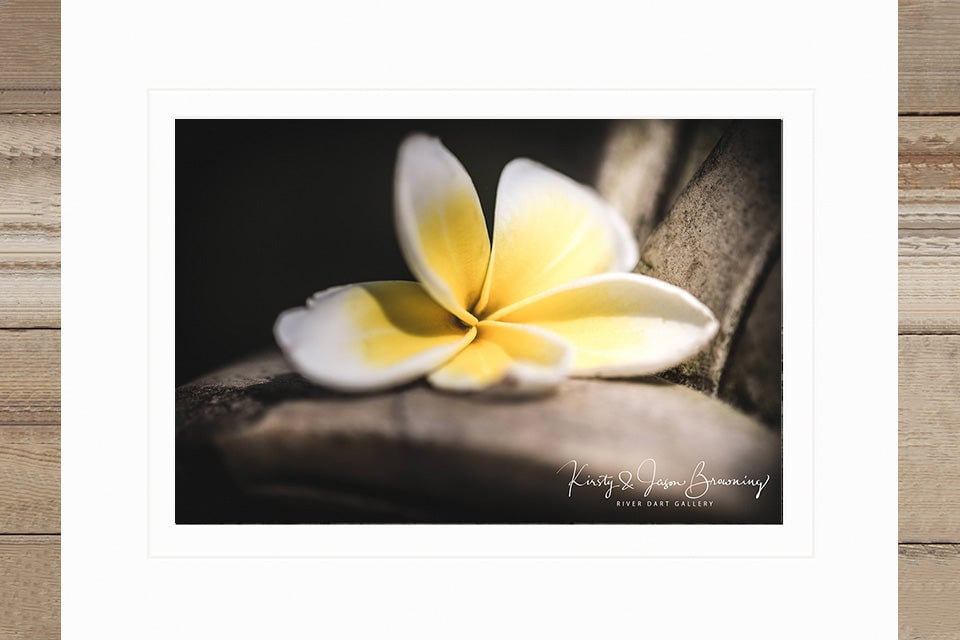 Purity