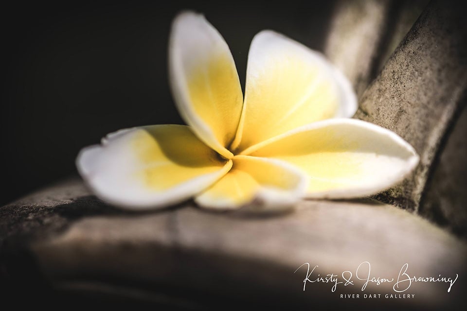 Purity
