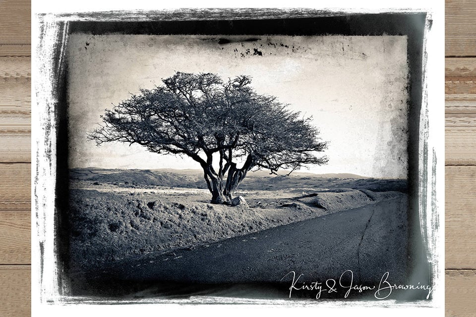 Journey