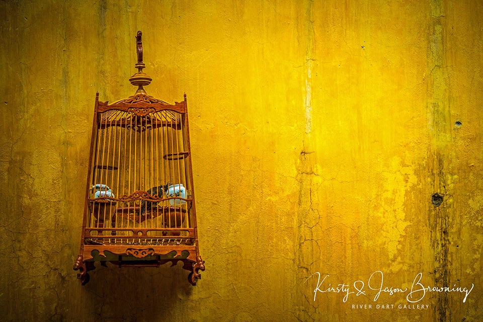 I Know Why the Caged Bird Sings