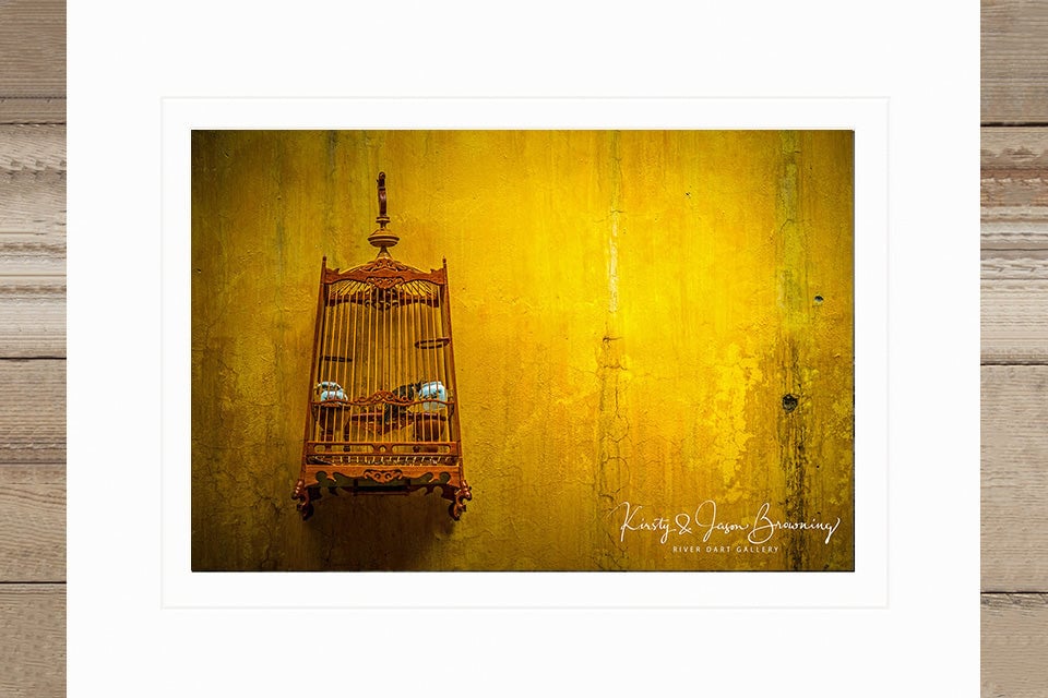 I Know Why the Caged Bird Sings