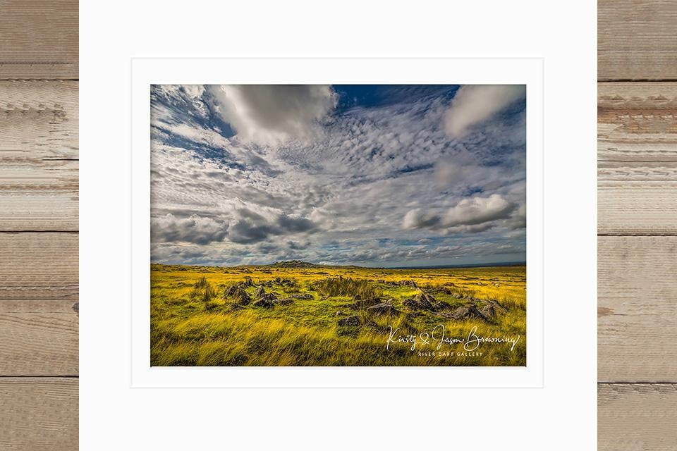 Morning Moorland
