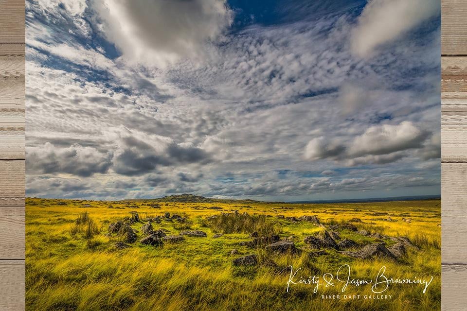 Morning Moorland