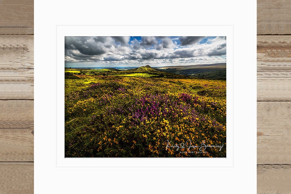 Springtime in the Moors