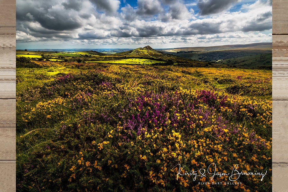 Springtime in the Moors