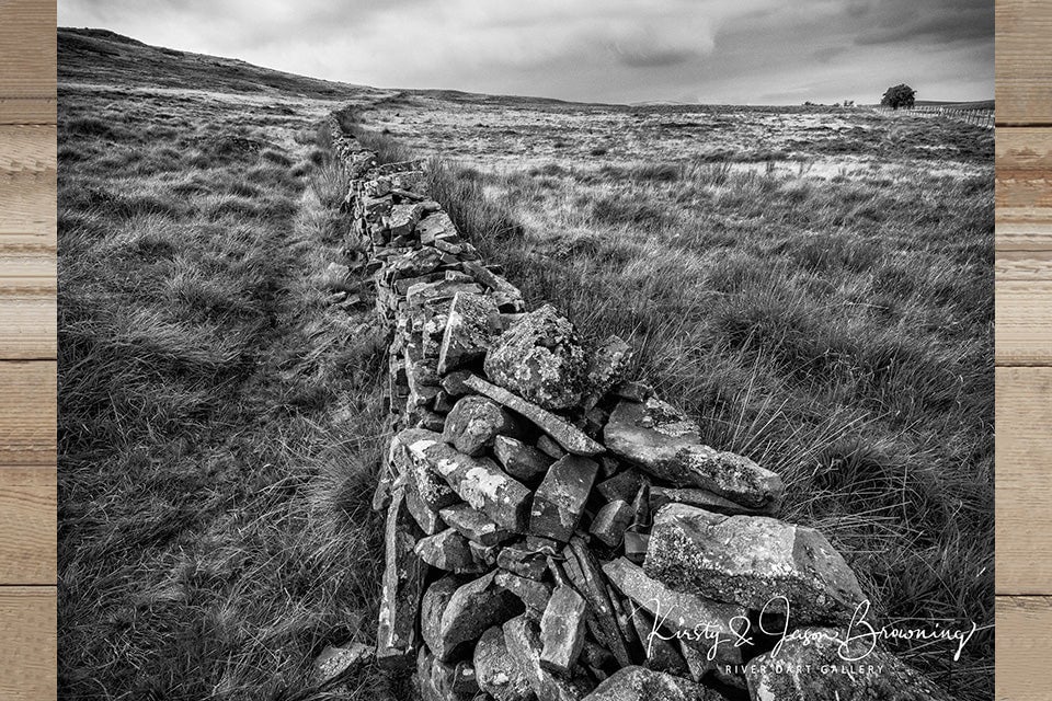 Nomadic Sight