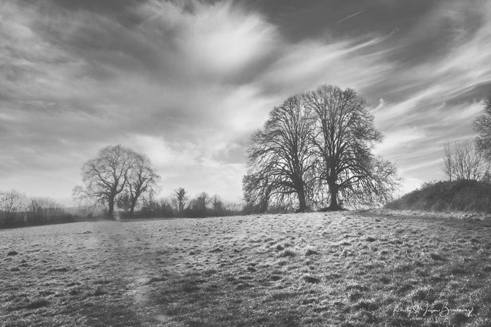 Longings of yesteryear