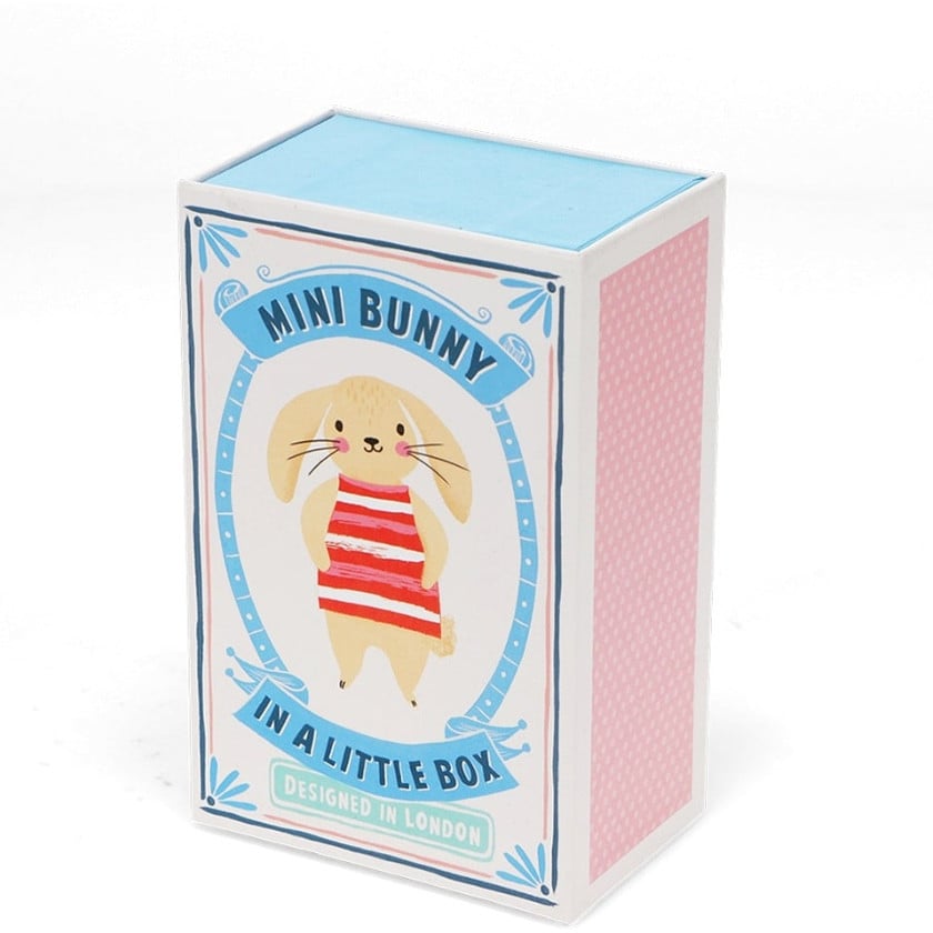 Mini Bunny In A Box - image 3