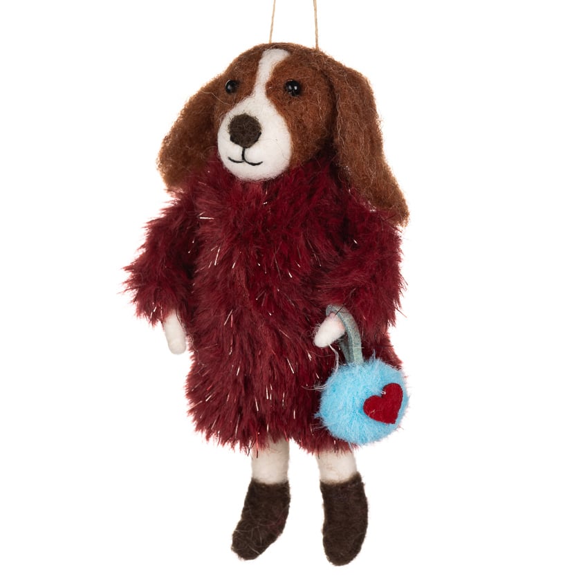 Aleisha the dog on night out
