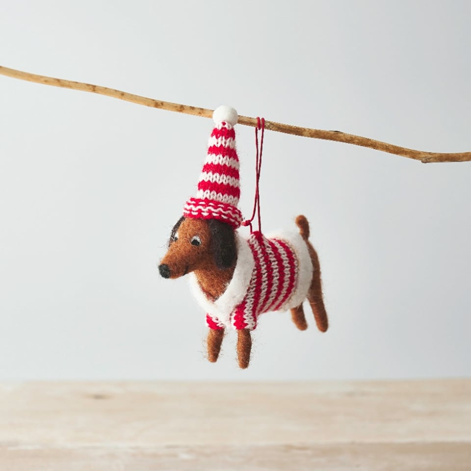 Dog Stripy Jumper And Hat