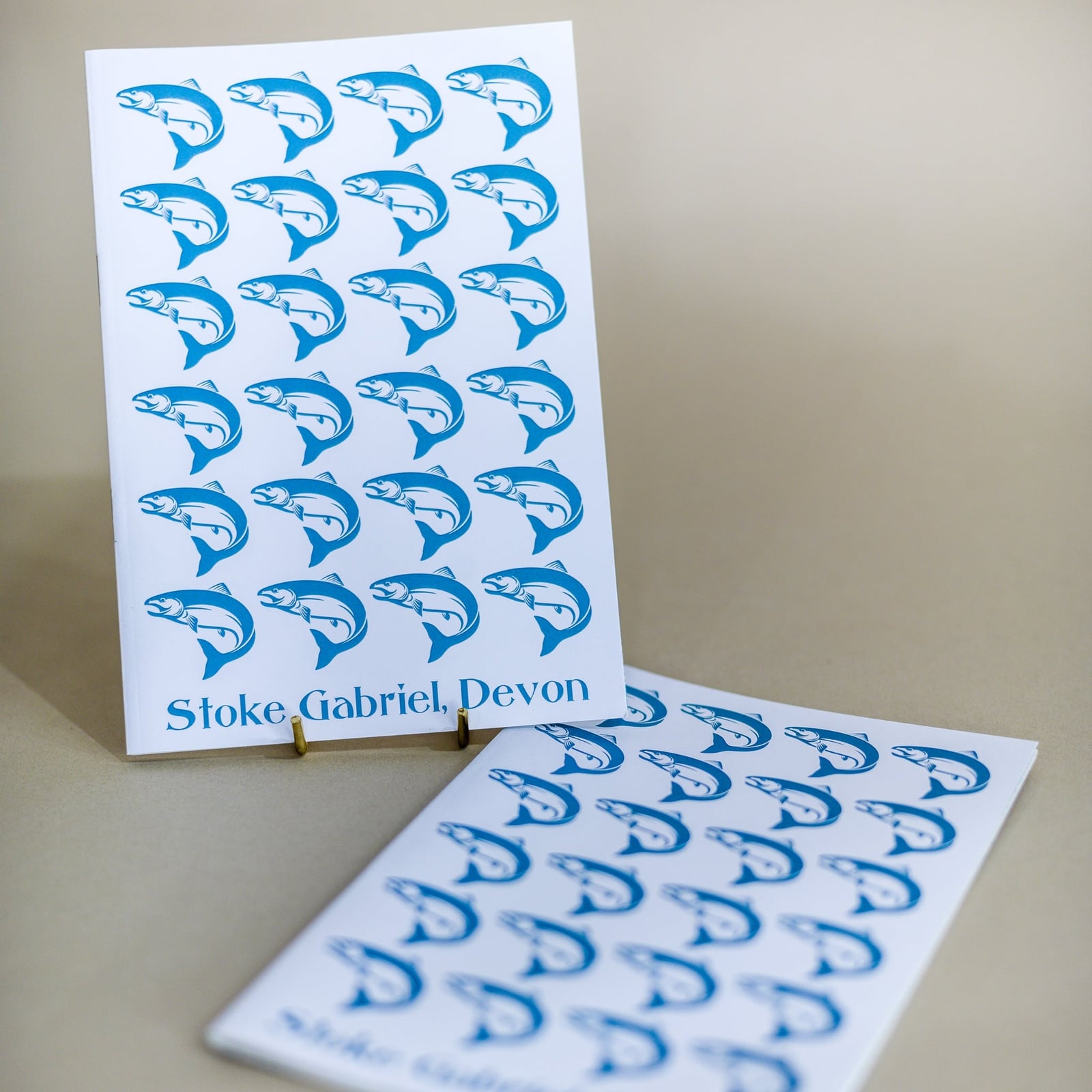 Salmon Notebook