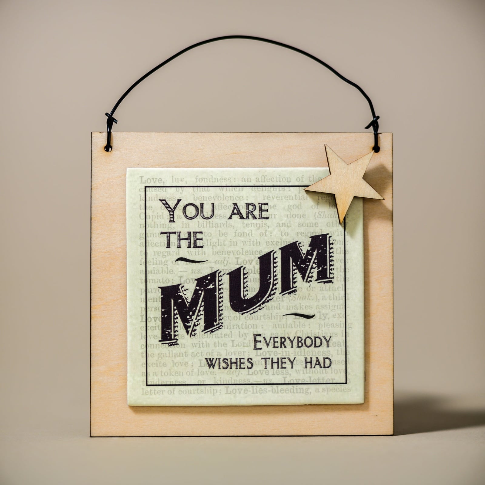 "You are the mum everybody wishes they had" Wooden Sign