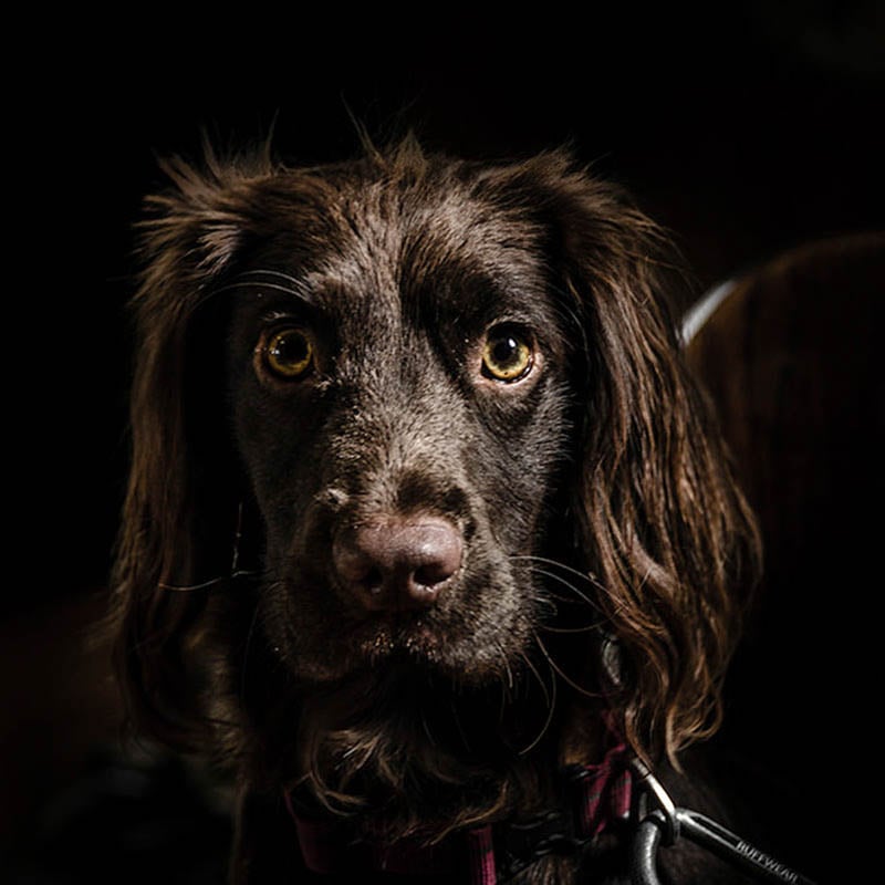 Juno